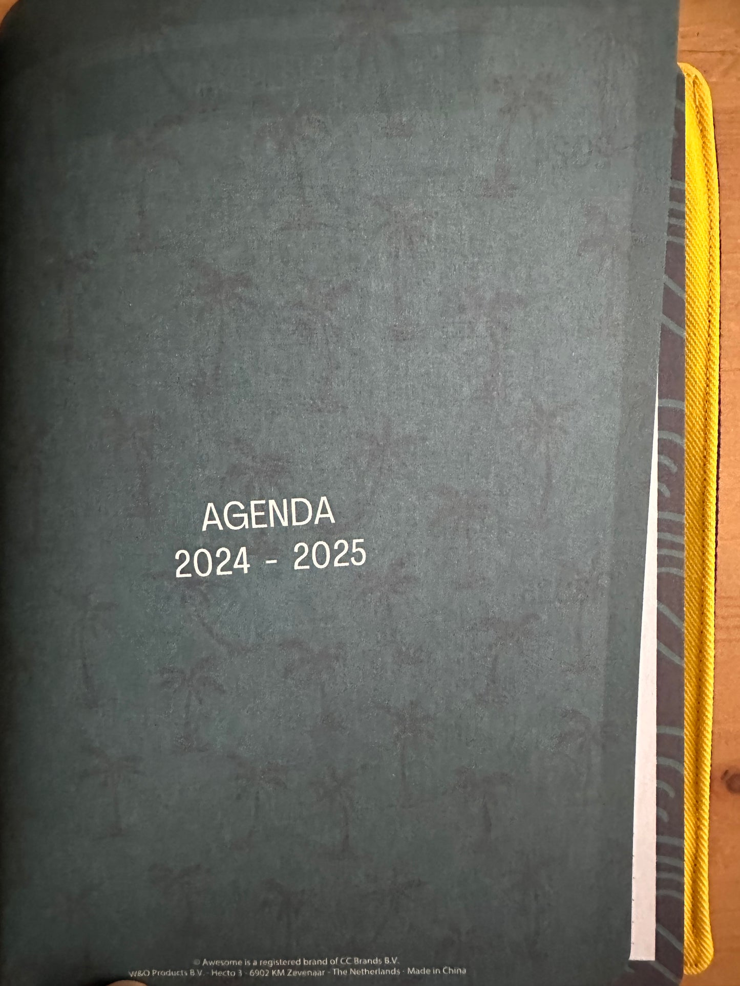 AGENDA 24/25 “PANTERA ROSA”