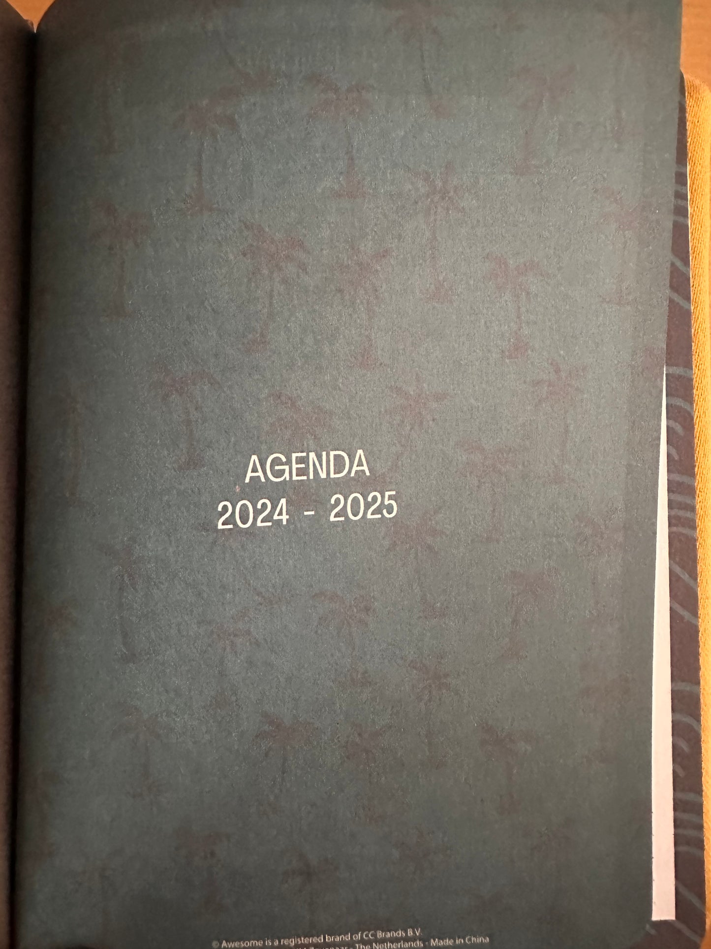 AGENDA 24/25  “CHARLIE BROWN”